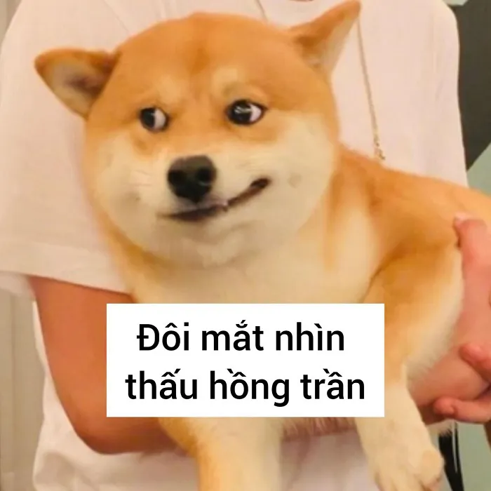 Tuyển tập 138+ meme đéo tin gây cười cực mạnh Tuyển tập 138+ meme đéo tin gây cười cực mạnh