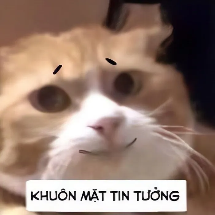 Tuyển tập 138+ meme đéo tin gây cười cực mạnh Tuyển tập 138+ meme đéo tin gây cười cực mạnh