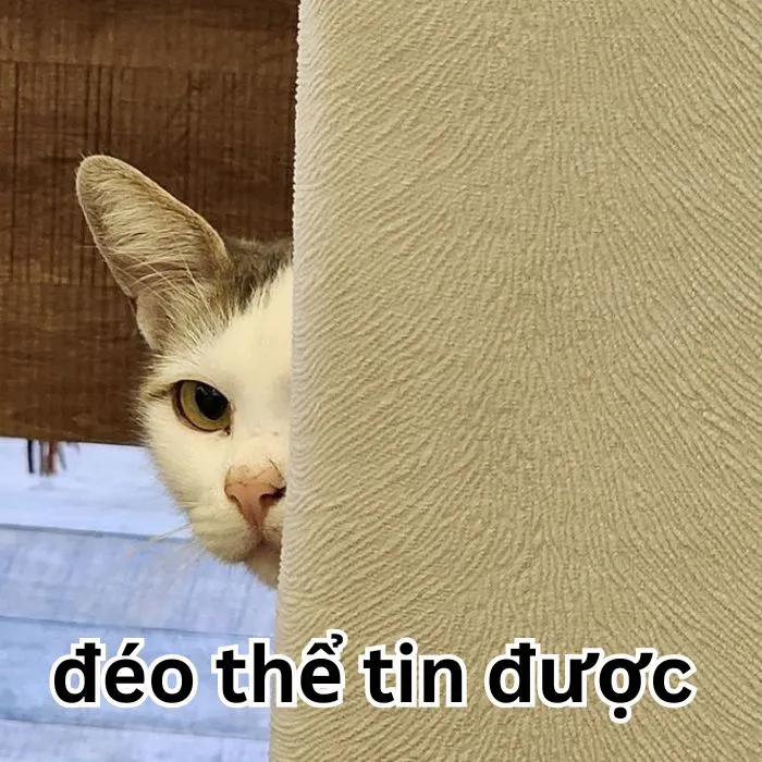 Tuyển tập 138+ meme đéo tin gây cười cực mạnh Tuyển tập 138+ meme đéo tin gây cười cực mạnh