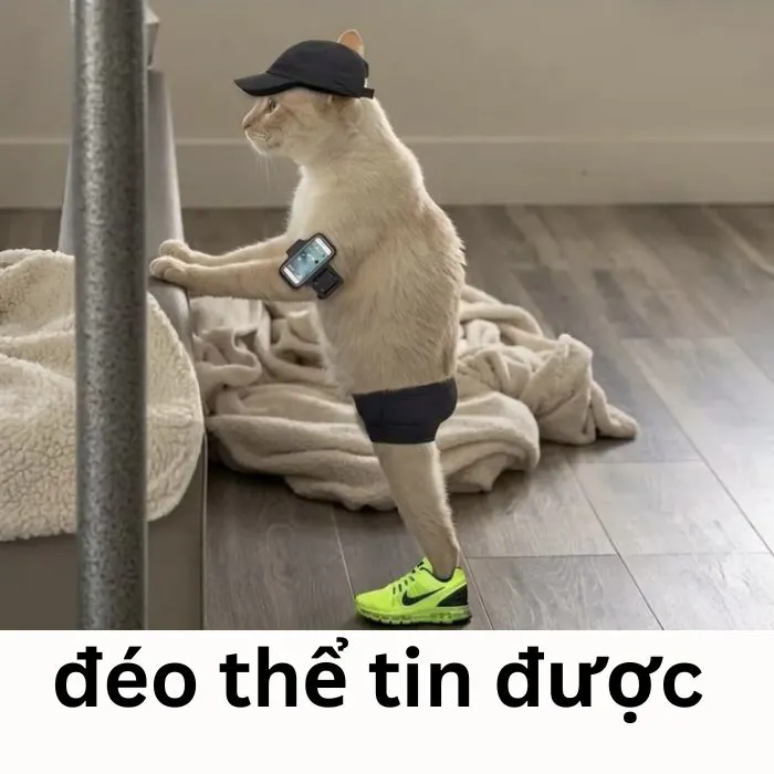 Tuyển tập 138+ meme đéo tin gây cười cực mạnh Tuyển tập 138+ meme đéo tin gây cười cực mạnh