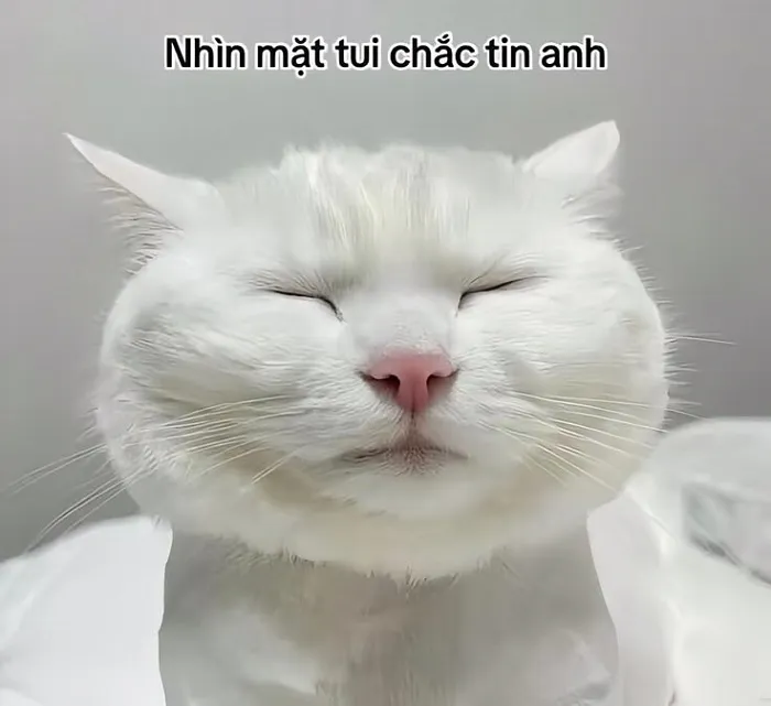 Tuyển tập 138+ meme đéo tin gây cười cực mạnh Tuyển tập 138+ meme đéo tin gây cười cực mạnh