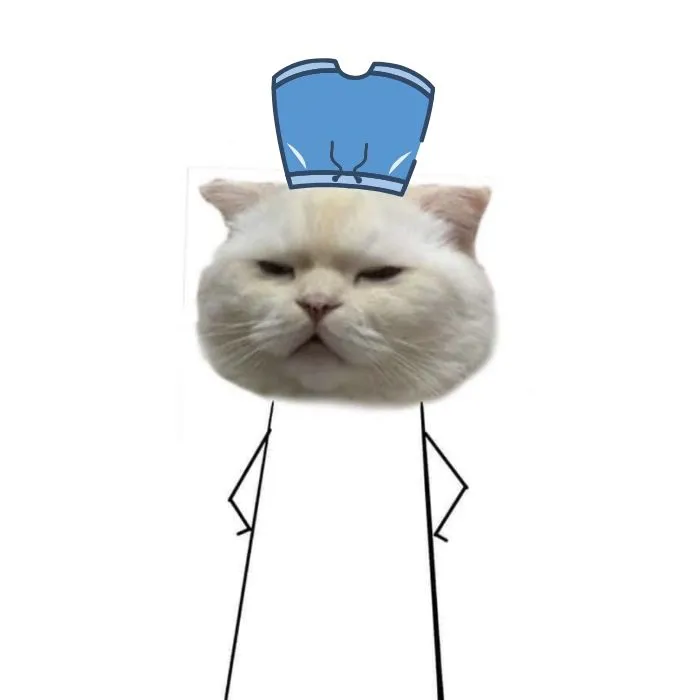 Khám phá 150+ meme đội quần hài hước Khám phá 150+ meme đội quần hài hước