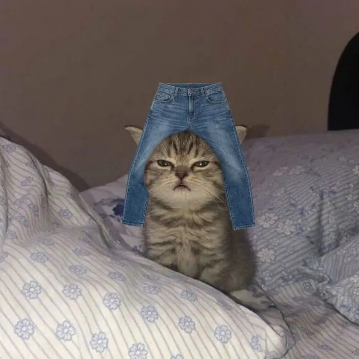 Khám phá 150+ meme đội quần hài hước Khám phá 150+ meme đội quần hài hước