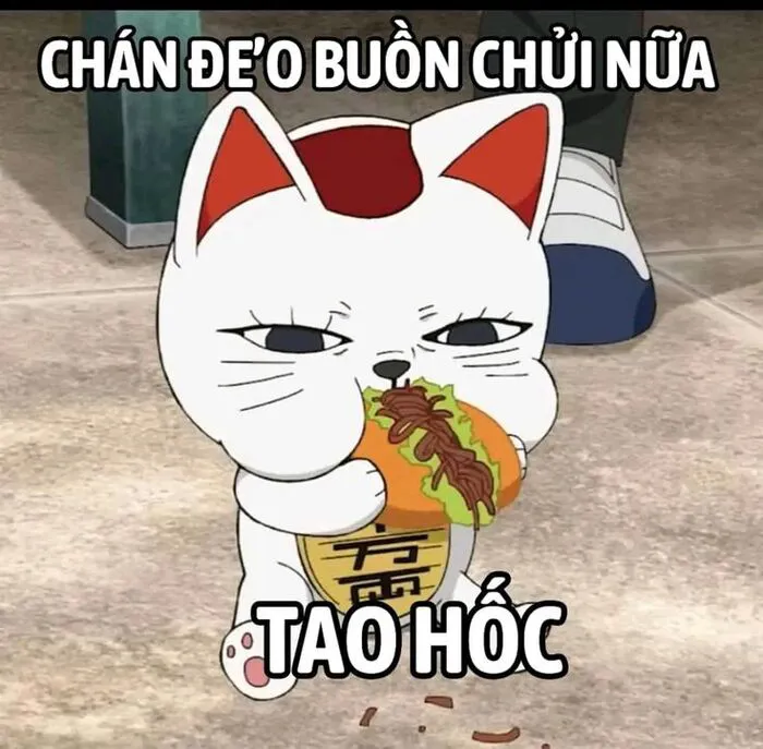 Khám phá 100+ meme font độc đáo, viral nhất bạn nên biết