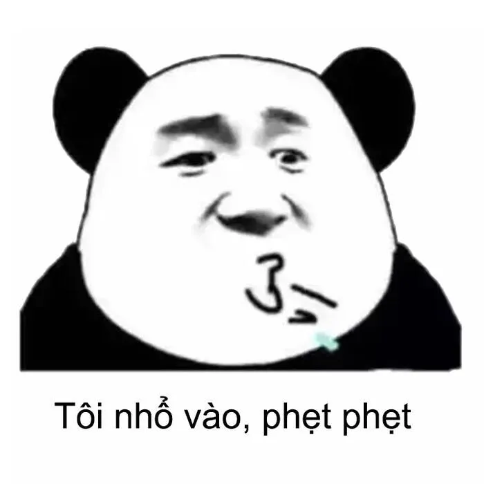 145+ meme gấu trúc siêu hài hước bạn không thể bỏ lỡ