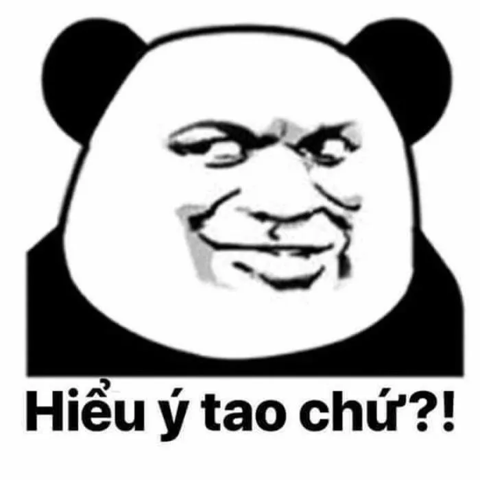 145+ meme gấu trúc siêu hài hước bạn không thể bỏ lỡ