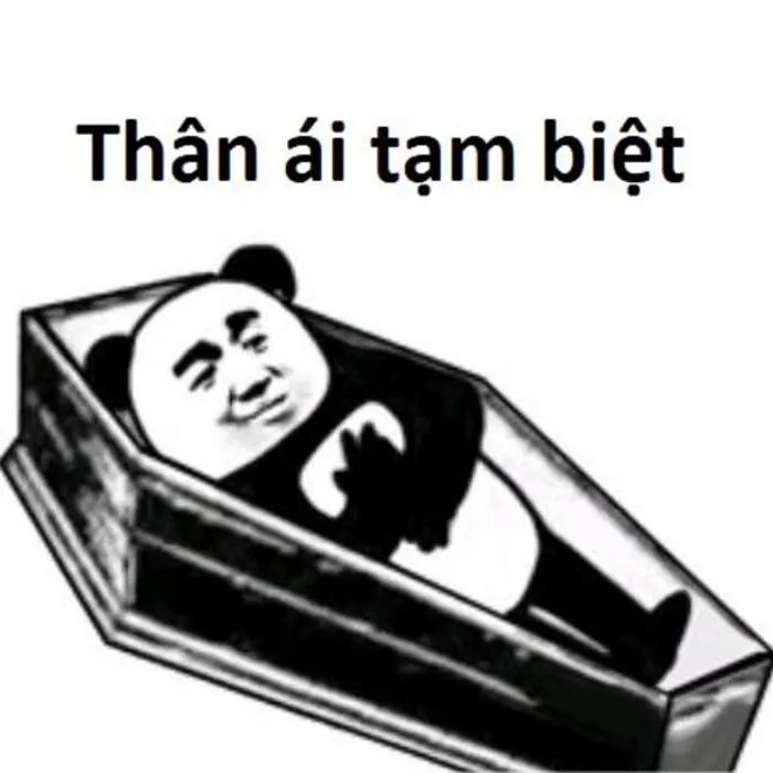 145+ meme gấu trúc siêu hài hước bạn không thể bỏ lỡ
