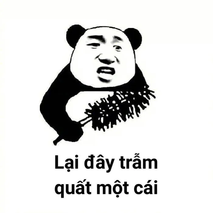 145+ meme gấu trúc siêu hài hước bạn không thể bỏ lỡ