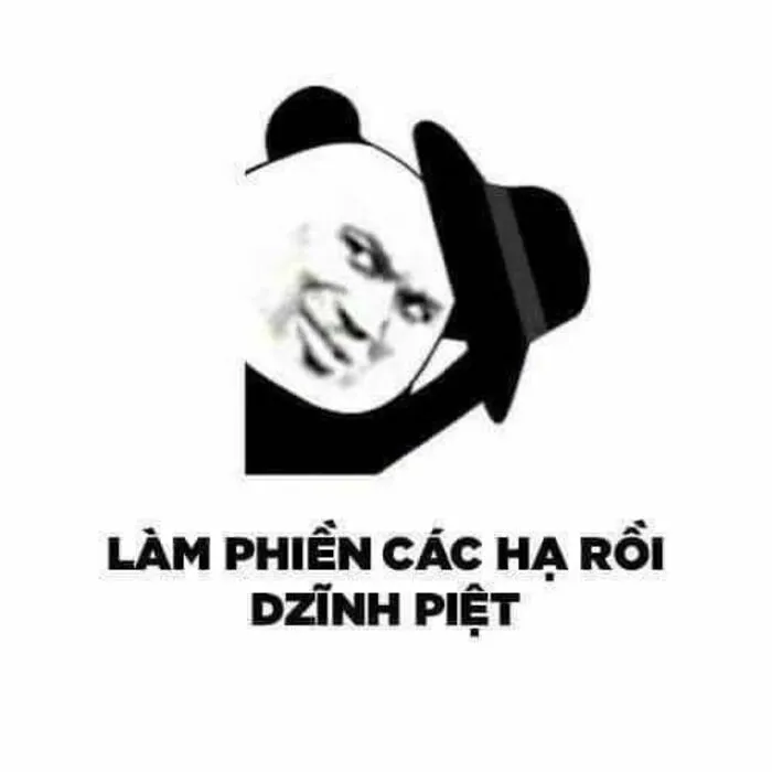 145+ meme gấu trúc siêu hài hước bạn không thể bỏ lỡ