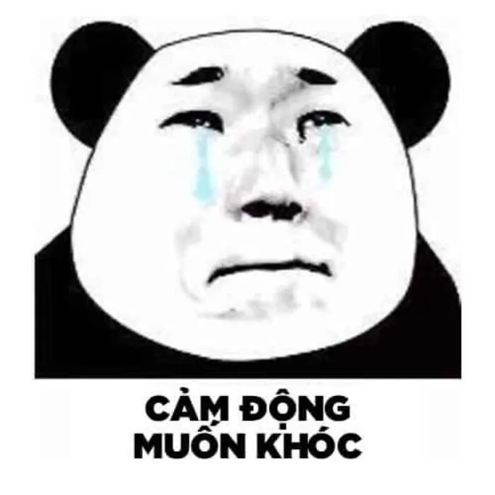145+ meme gấu trúc siêu hài hước bạn không thể bỏ lỡ