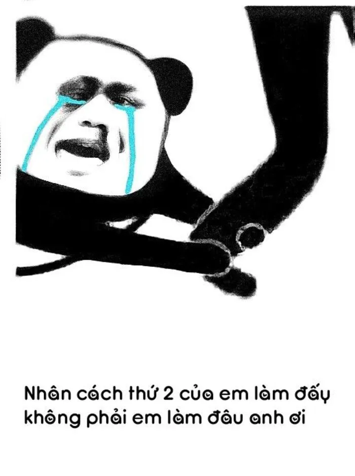 145+ meme gấu trúc siêu hài hước bạn không thể bỏ lỡ