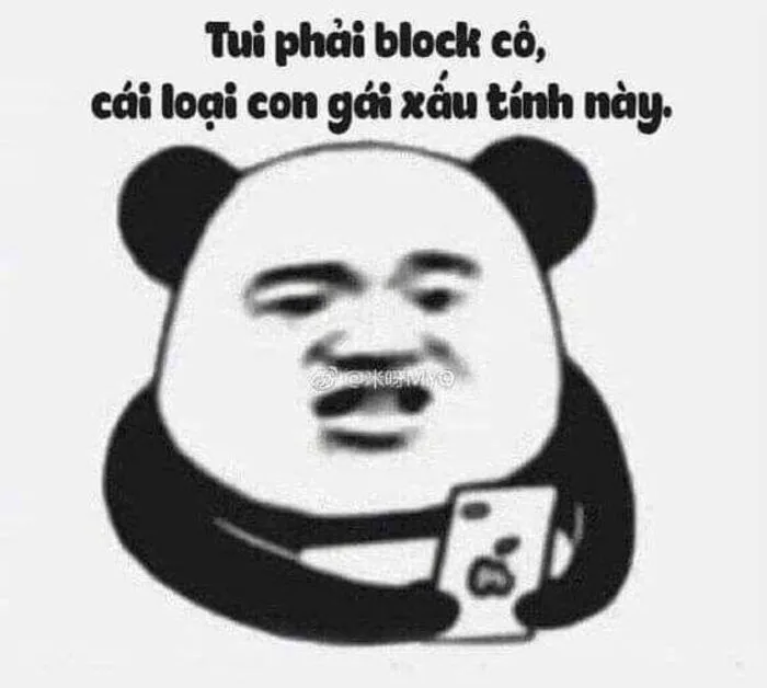 145+ meme gấu trúc siêu hài hước bạn không thể bỏ lỡ