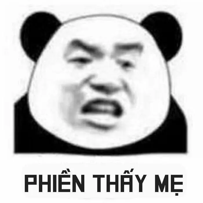 145+ meme gấu trúc siêu hài hước bạn không thể bỏ lỡ