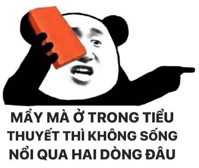 145+ meme gấu trúc siêu hài hước bạn không thể bỏ lỡ