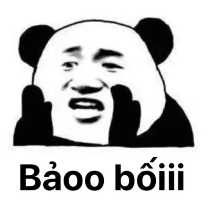 145+ meme gấu trúc siêu hài hước bạn không thể bỏ lỡ