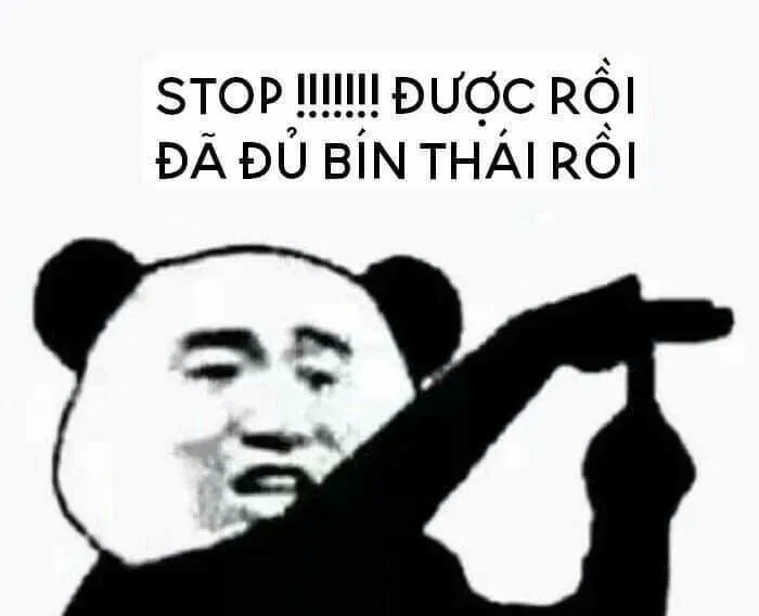 145+ meme gấu trúc siêu hài hước bạn không thể bỏ lỡ