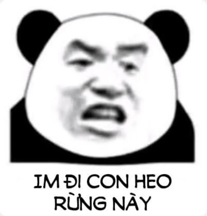 145+ meme gấu trúc siêu hài hước bạn không thể bỏ lỡ