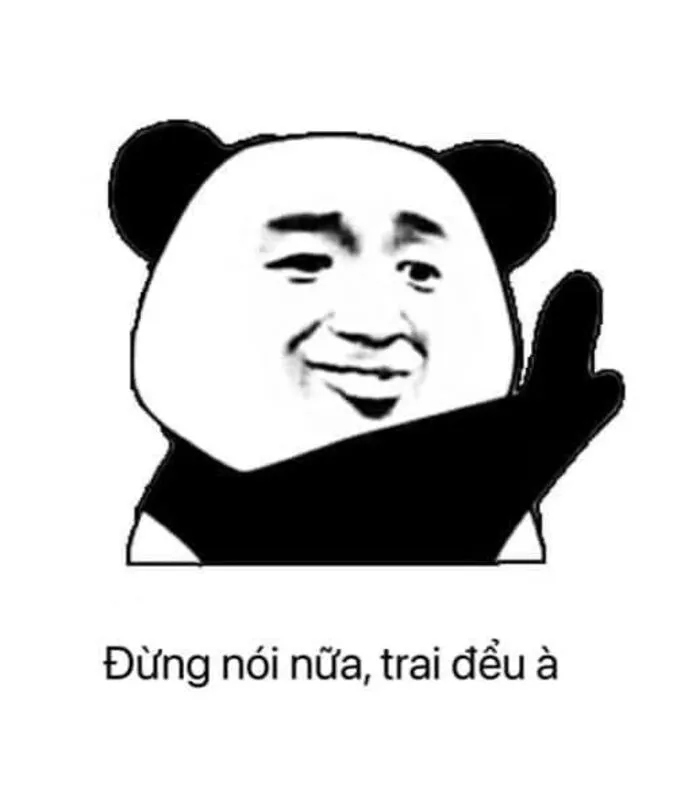 145+ meme gấu trúc siêu hài hước bạn không thể bỏ lỡ