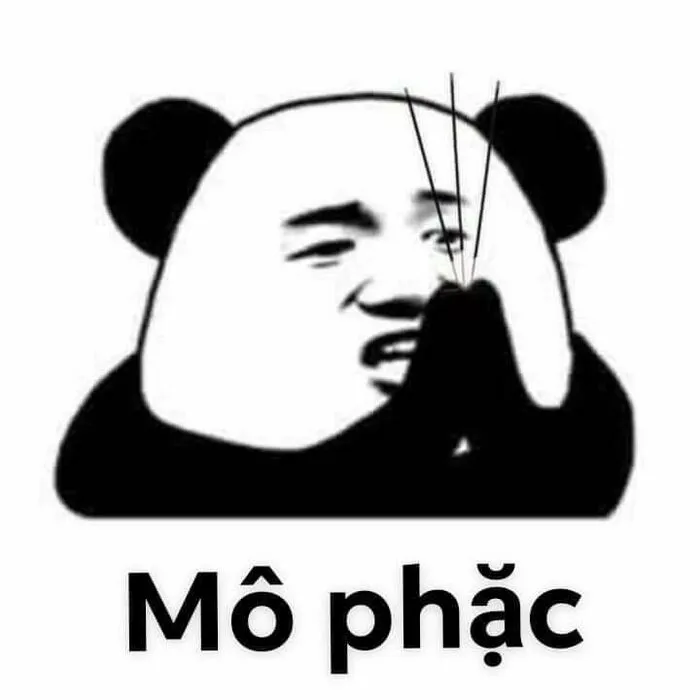 145+ meme gấu trúc siêu hài hước bạn không thể bỏ lỡ