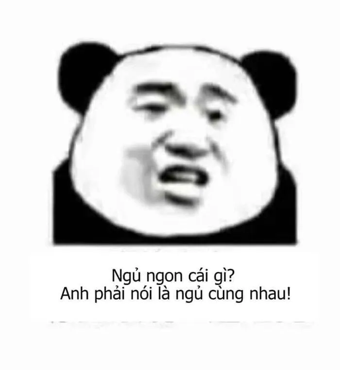 145+ meme gấu trúc siêu hài hước bạn không thể bỏ lỡ