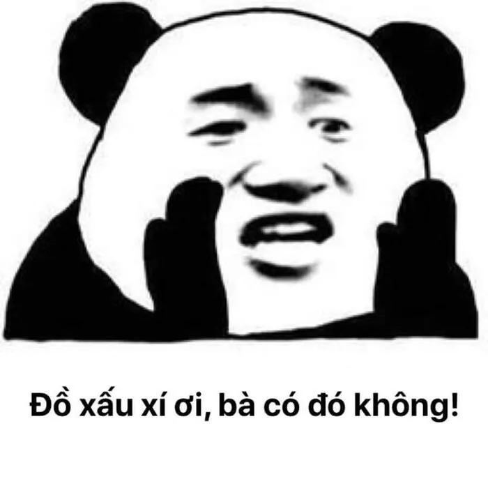 145+ meme gấu trúc siêu hài hước bạn không thể bỏ lỡ