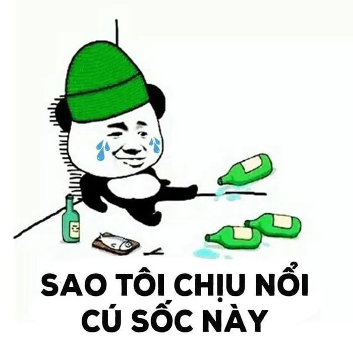 145+ meme gấu trúc siêu hài hước bạn không thể bỏ lỡ