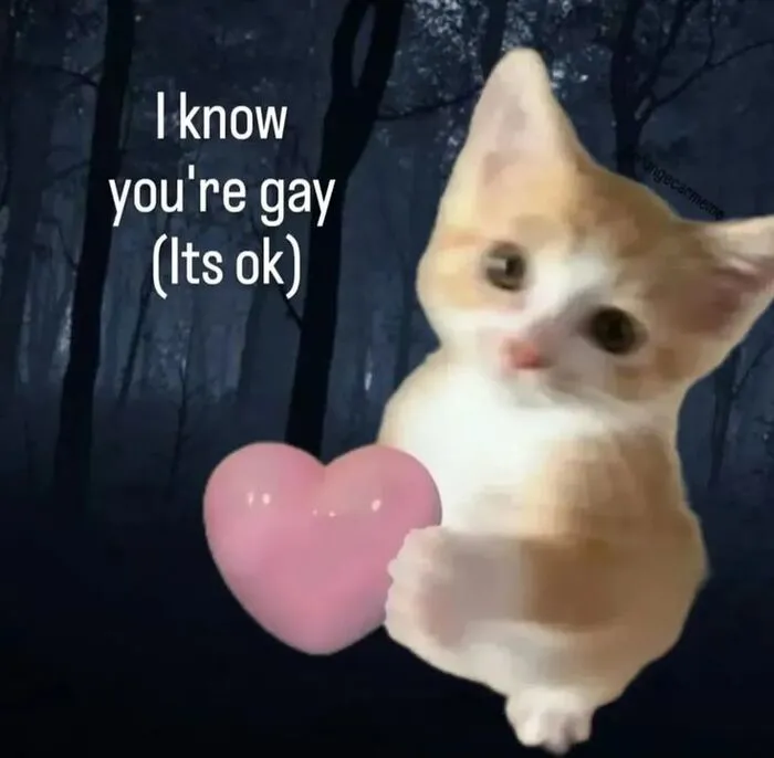 Tuyển chọn 188+ meme gay hài hước, độc đáo nhất