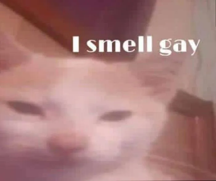 Tuyển chọn 188+ meme gay hài hước, độc đáo nhất