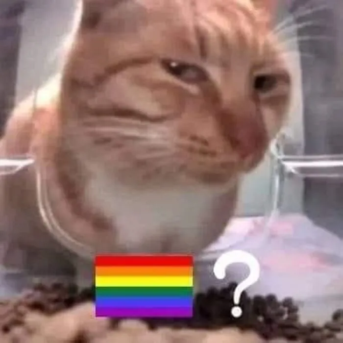 Tuyển chọn 188+ meme gay hài hước, độc đáo nhất
