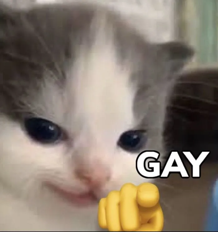 Tuyển chọn 188+ meme gay hài hước, độc đáo nhất