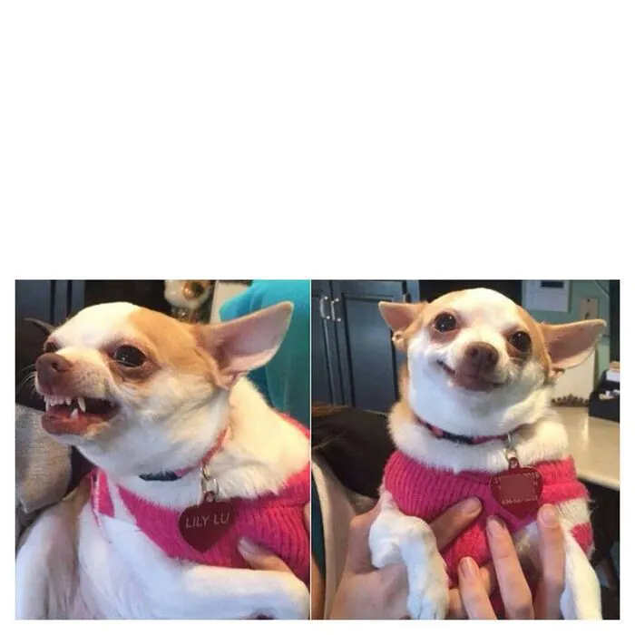 Sáng tạo meme độc đáo: Hơn 87+ meme generator bạn không thể bỏ lỡ Sáng tạo meme độc đáo: Hơn 87+ meme generator bạn không thể bỏ lỡ