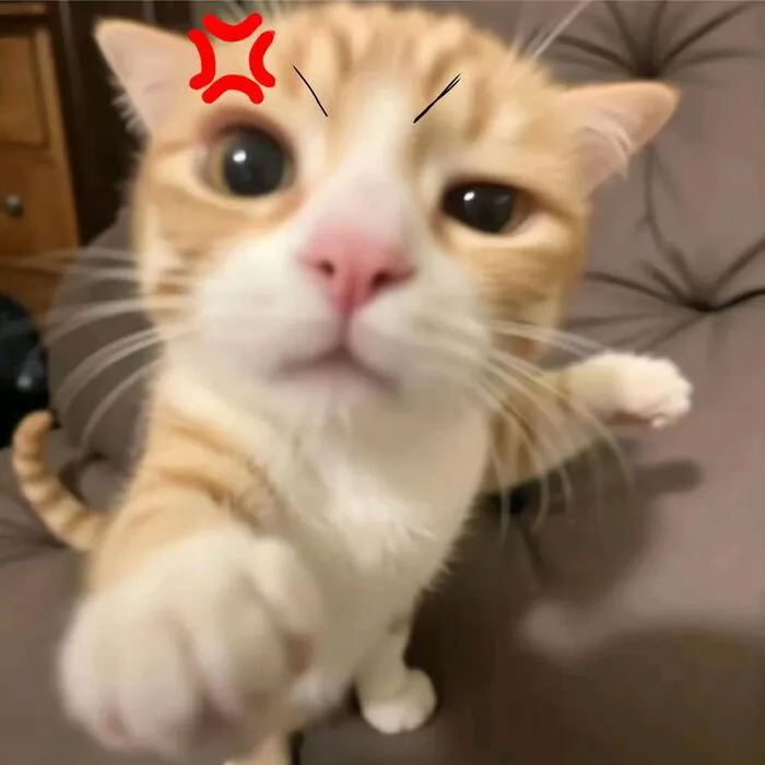 Tuyển chọn 145+ meme giận dữ cực hài, bạn đã xem chưa?