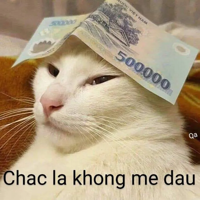 Khám phá 108+ meme hài hước, giải trí cực đã Khám phá 108+ meme hài hước, giải trí cực đã