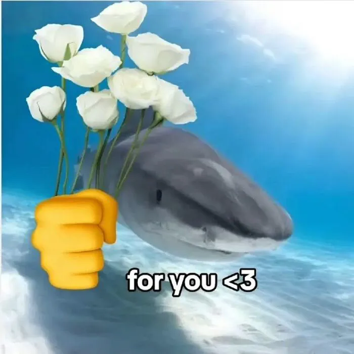 Khám phá 108+ meme hài hước, giải trí cực đã Khám phá 108+ meme hài hước, giải trí cực đã
