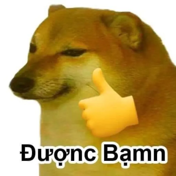 Khám phá 108+ meme hài hước, giải trí cực đã Khám phá 108+ meme hài hước, giải trí cực đã
