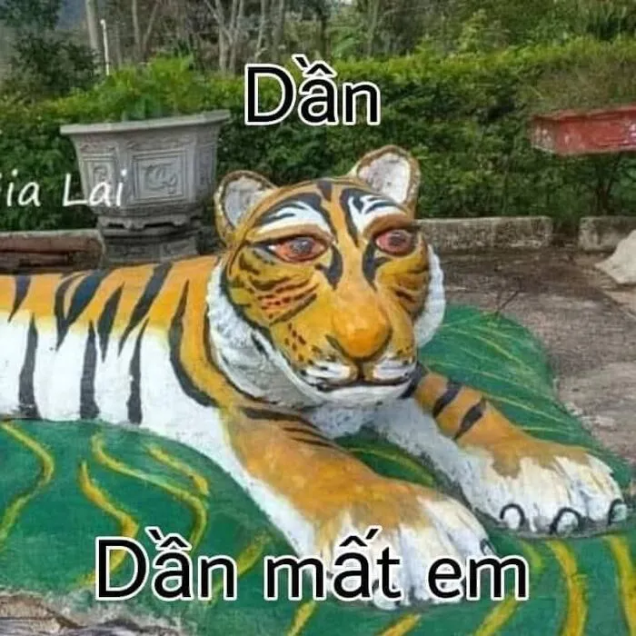 Khám phá 108+ meme hài hước, giải trí cực đã Khám phá 108+ meme hài hước, giải trí cực đã