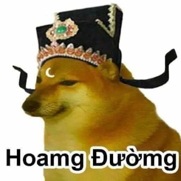 Khám phá 108+ meme hài hước, giải trí cực đã Khám phá 108+ meme hài hước, giải trí cực đã