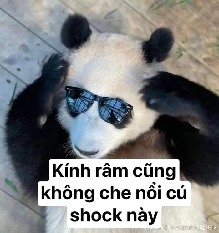 Khám phá 108+ meme hài hước, giải trí cực đã Khám phá 108+ meme hài hước, giải trí cực đã