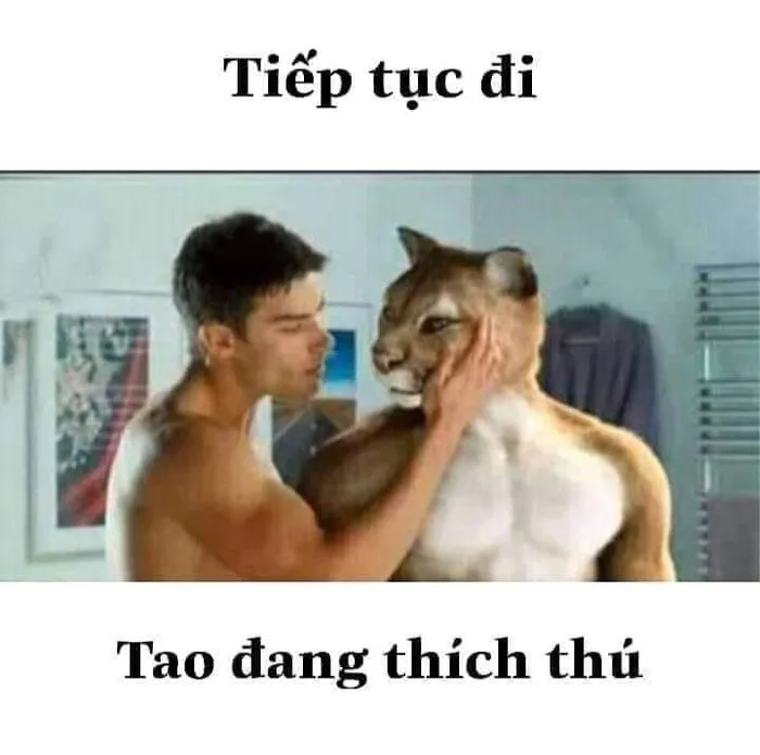 Khám phá 108+ meme hài hước, giải trí cực đã Khám phá 108+ meme hài hước, giải trí cực đã