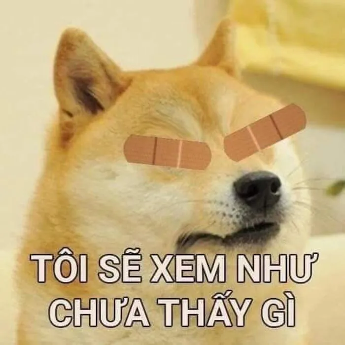 Khám phá 108+ meme hài hước, giải trí cực đã Khám phá 108+ meme hài hước, giải trí cực đã