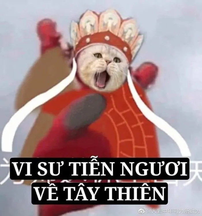 Khám phá 108+ meme hài hước, giải trí cực đã Khám phá 108+ meme hài hước, giải trí cực đã