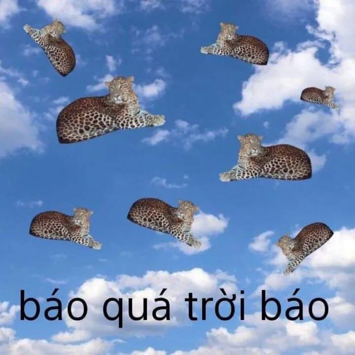 Khám phá 108+ meme hài hước, giải trí cực đã Khám phá 108+ meme hài hước, giải trí cực đã