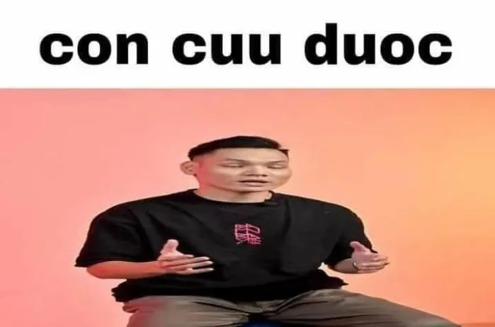 Khám phá 130+ meme hết cứu, hài hước bạn không thể bỏ lỡ