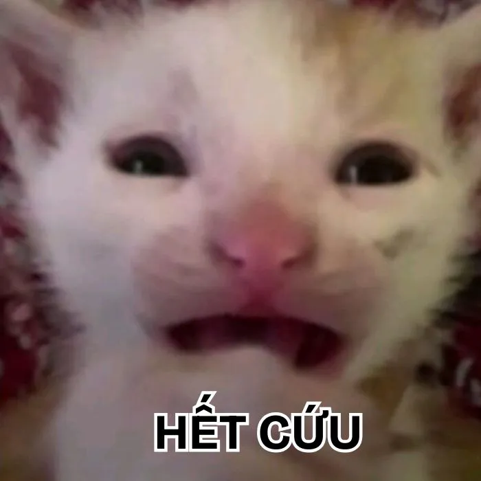 Khám phá 130+ meme hết cứu, hài hước bạn không thể bỏ lỡ