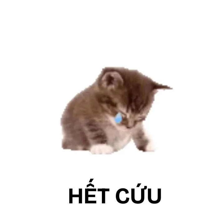 Khám phá 130+ meme hết cứu, hài hước bạn không thể bỏ lỡ