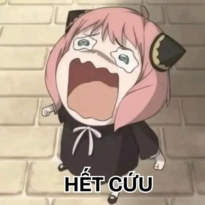 Khám phá 130+ meme hết cứu, hài hước bạn không thể bỏ lỡ