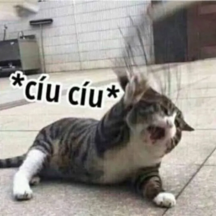 Khám phá 130+ meme hết cứu, hài hước bạn không thể bỏ lỡ