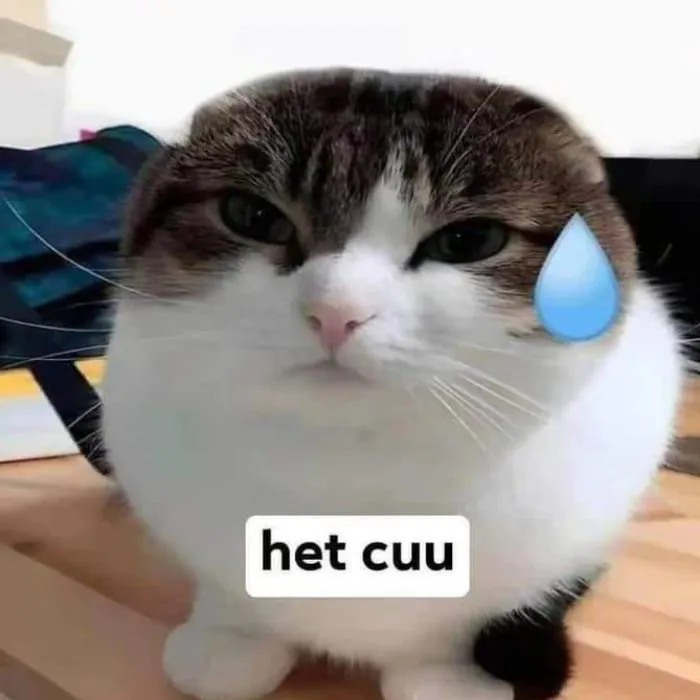 Khám phá 130+ meme hết cứu, hài hước bạn không thể bỏ lỡ