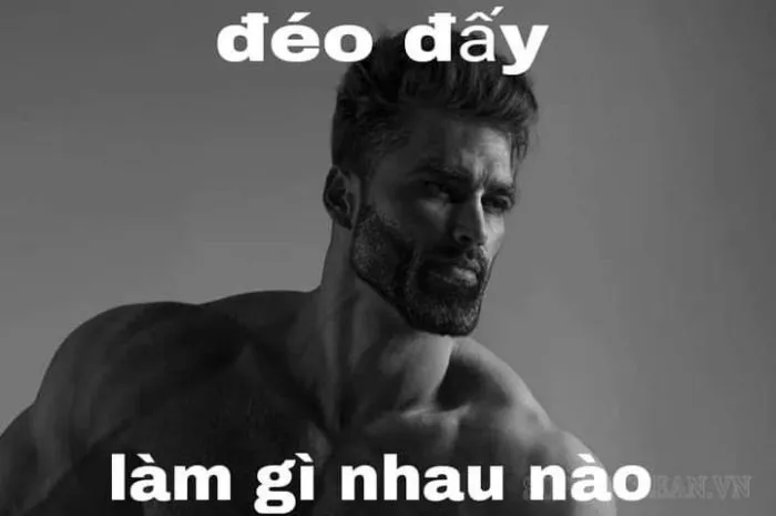 Khám phá 130+ meme hết cứu, hài hước bạn không thể bỏ lỡ