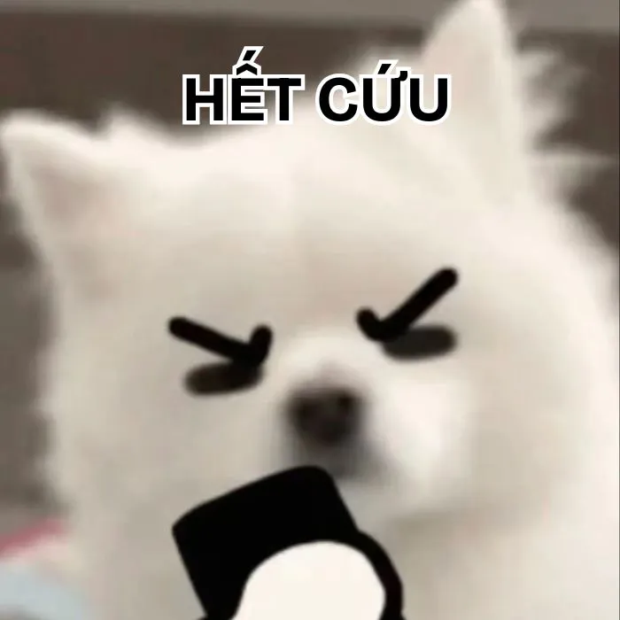 Khám phá 130+ meme hết cứu, hài hước bạn không thể bỏ lỡ